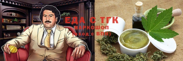 индика Ельня